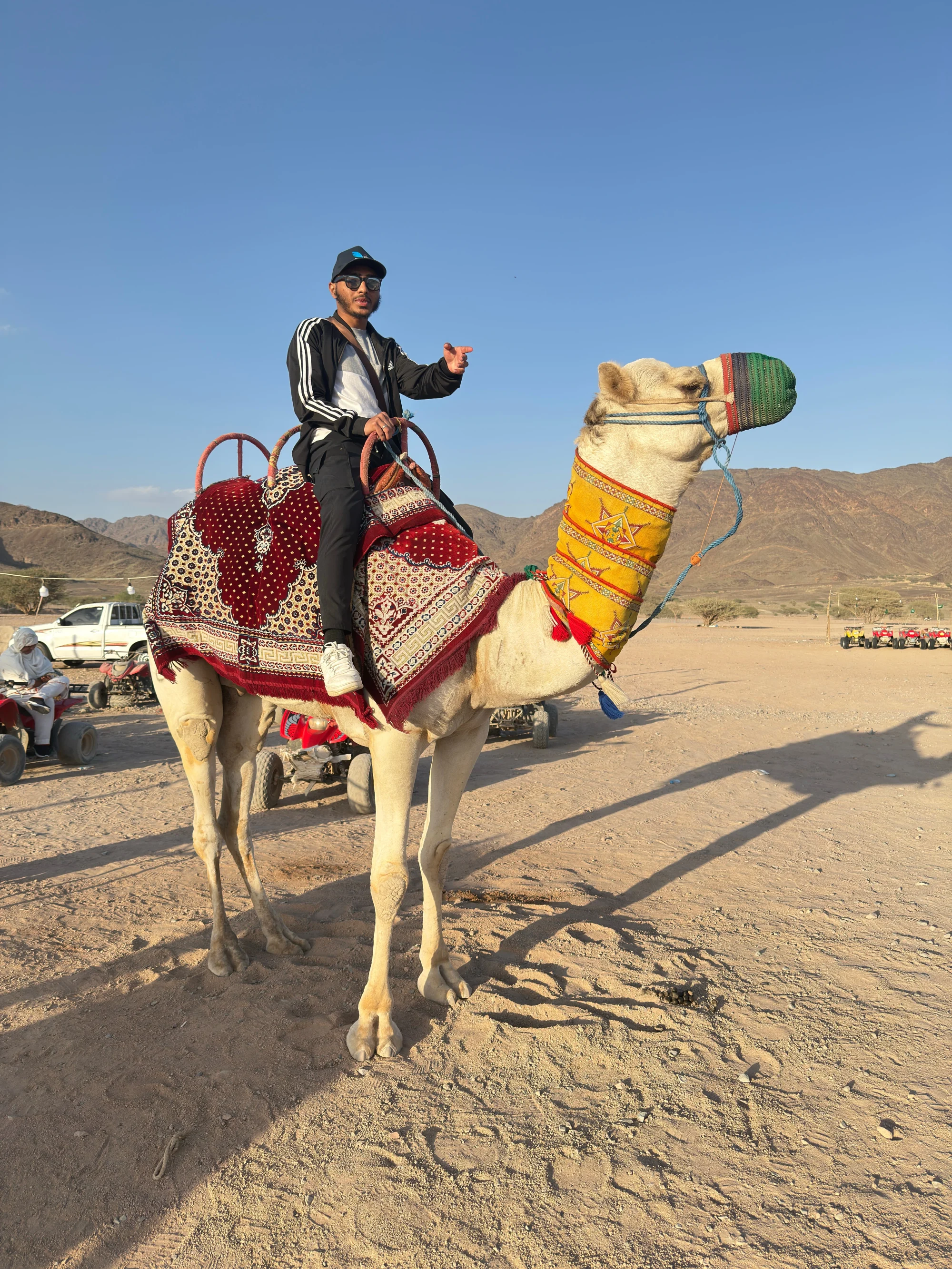 A rider on a decorated camel in the desert
