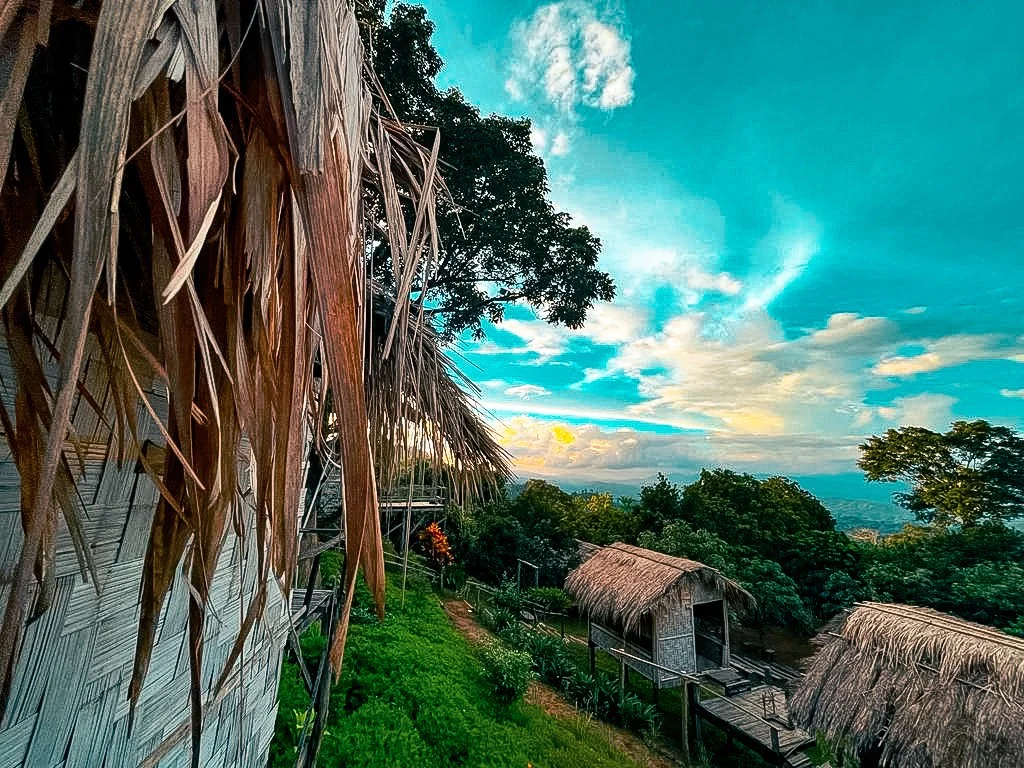 Dried palm fronds hanging over a woven wall, huts and ridge beyond
